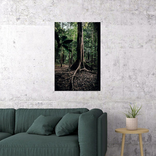 Rainforest Trees Nature Tropical Forests Poster Wall Art Print Home Wall Decor - xonomax