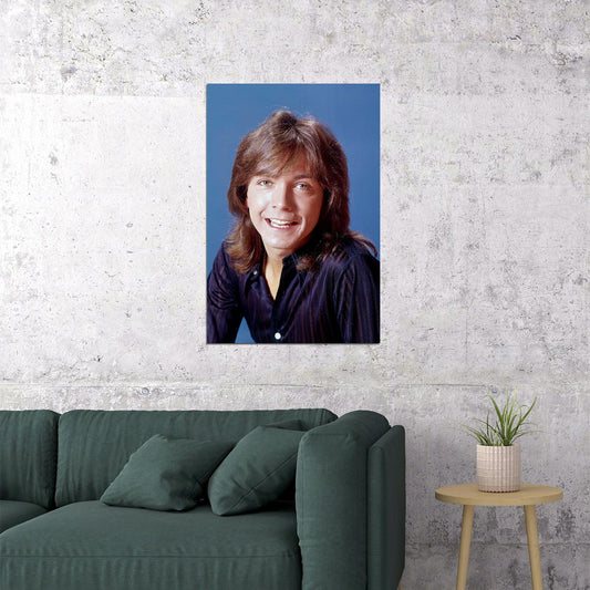 Actor David Cassidy Smiling Songwriter Singer Poster Wall Art Print Home Wall Decor - xonomax