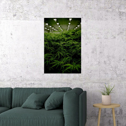 Marijuana Theme Reefer Madness Poster Wall Art Print Home Wall Decor - xonomax