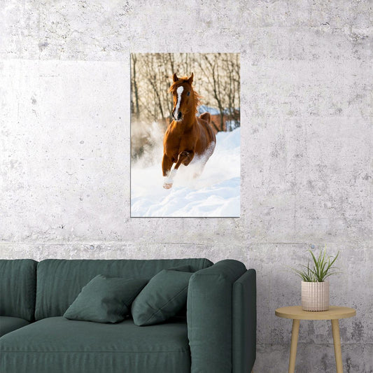 Horses Running On The Snow Quick Animal Poster Wall Art Print Home Wall Decor - xonomax