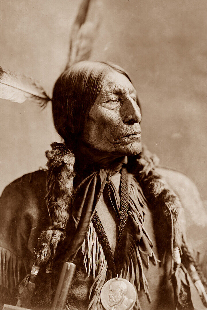 Chief Wolf Robe Cheyenne 1899 Photo By Frank A. Rinehart Poster Wall Art Print Home Wall Decor - xonomax