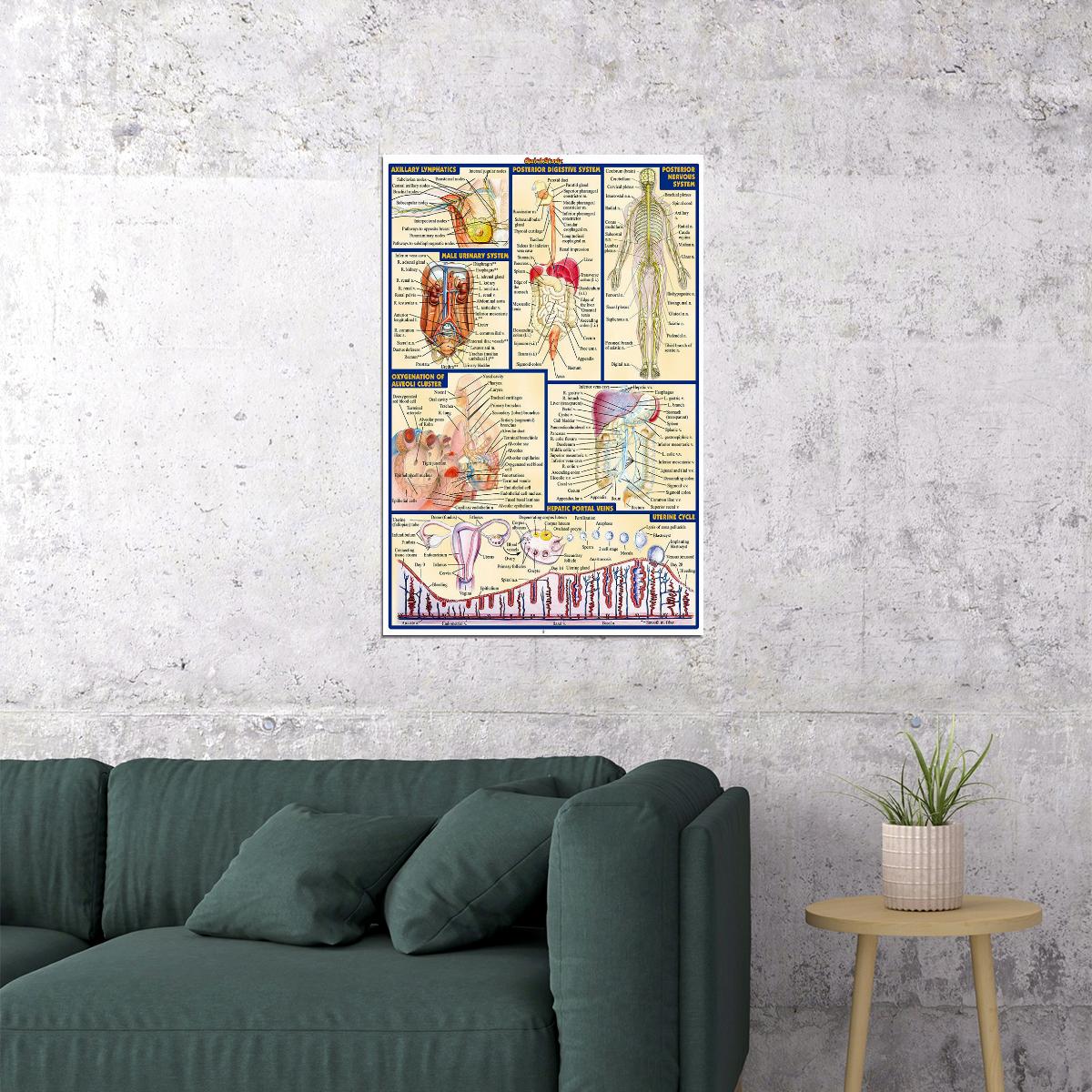 Human Anatomy Body Map Healthy Poster Wall Art Print Home Wall Decor