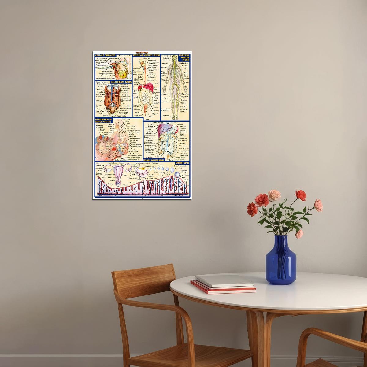 Human Anatomy Body Map Healthy Poster Wall Art Print Home Wall Decor