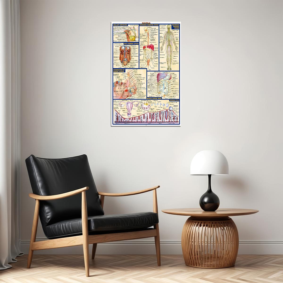 Human Anatomy Body Map Healthy Poster Wall Art Print Home Wall Decor