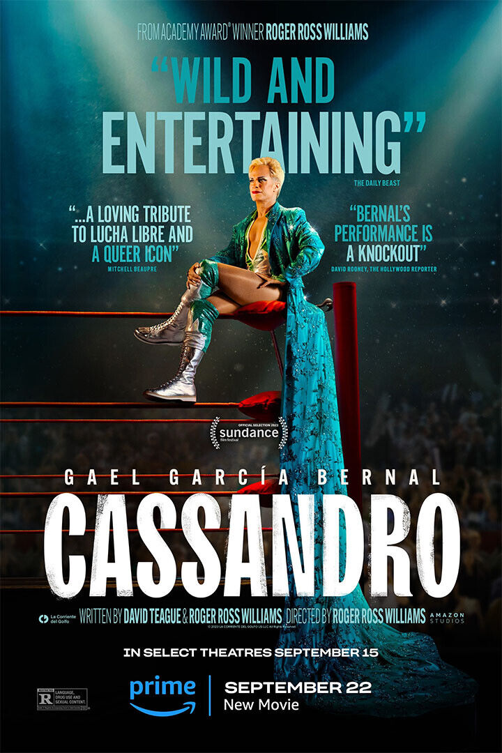 Cassandro Movie Biography Drama Sport Poster Wall Art Print Home Wall Decor - xonomax