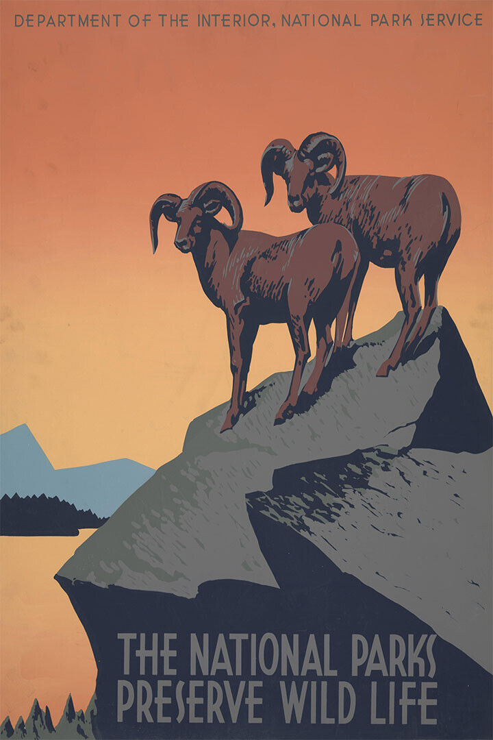 1930s National Parks Preserve Wild Life Vintage Wpa Travel Poster Wall Art Print Home Wall Decor