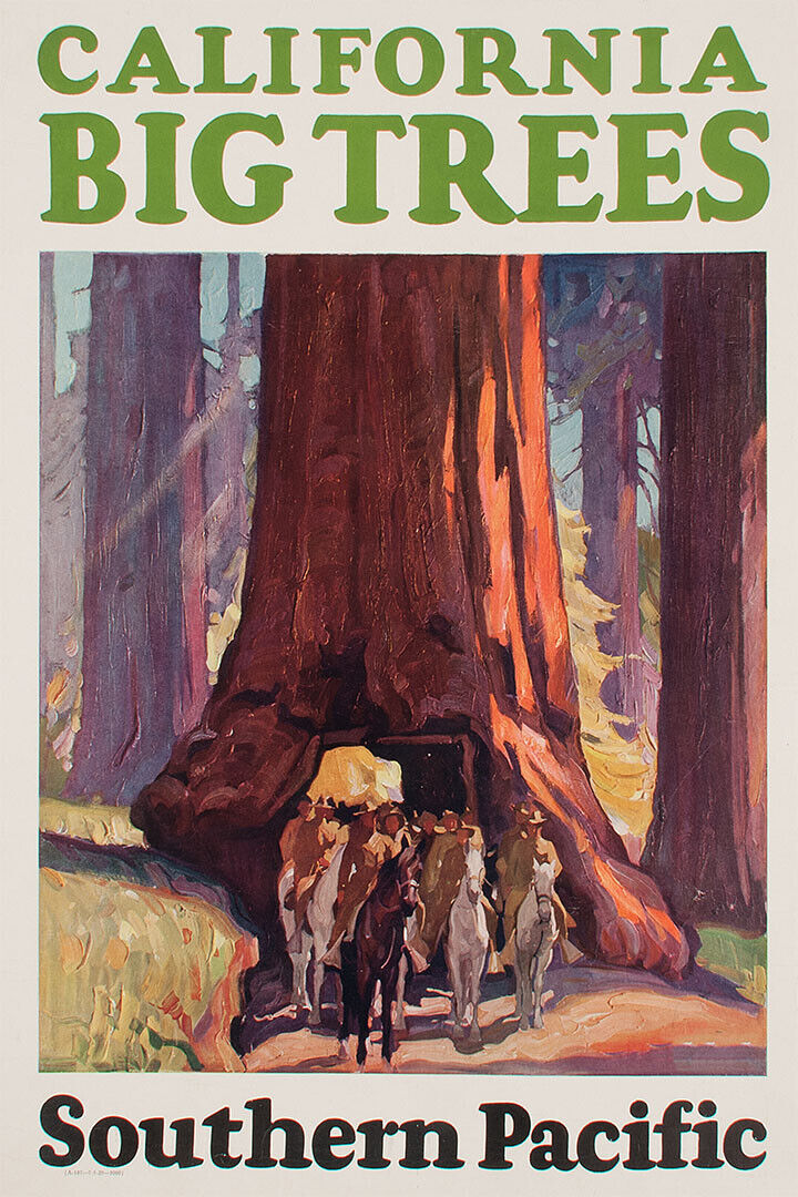 1920s California Big Trees Southern Pacific Vintage Travel Poster Wall Art Print Home Wall Decor