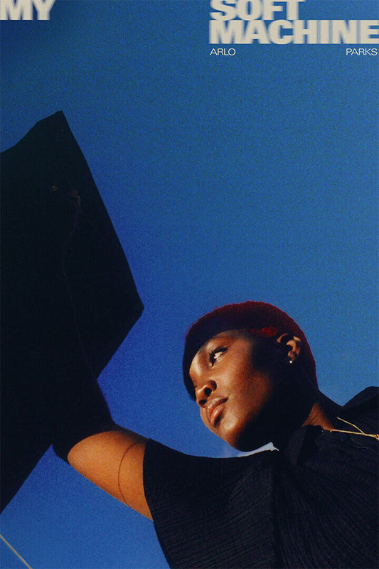 Arlo Parks My Soft Machine Music Artist Singer Poster Wall Art Print Home Wall Decor - xonomax