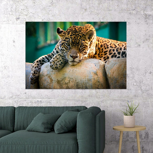 Leopard On Stone Wild Animal Life Poster Wall Art Print Home Wall Decor - xonomax