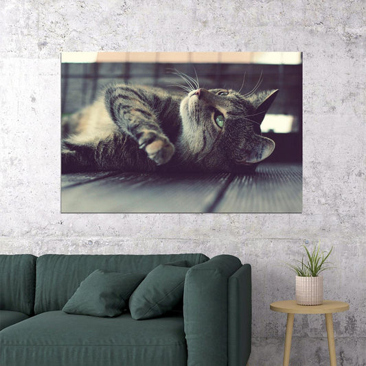 Cute Cat On The Ground Funny Animals Poster Wall Art Print Home Wall Decor - xonomax