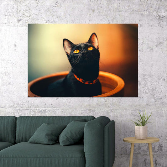 Black Cat In A Flower Pot Funny Animals Poster Wall Art Print Home Wall Decor - xonomax