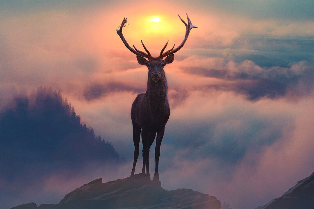 Reindeer On The Mountain Wild Life Animals Poster Wall Art Print Home Wall Decor - xonomax