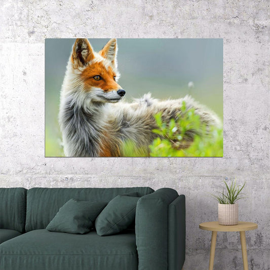 Cute Fox Watching Around Wild Animals Poster Wall Art Print Home Wall Decor - xonomax