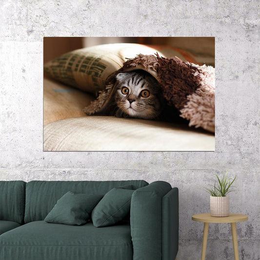 Cute Cat Hiding Domestic Animals Poster Wall Art Print Home Wall Decor - xonomax