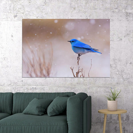 Bluebird Snowing Cuta Animals Landscape Poster Wall Art Print Home Wall Decor - xonomax