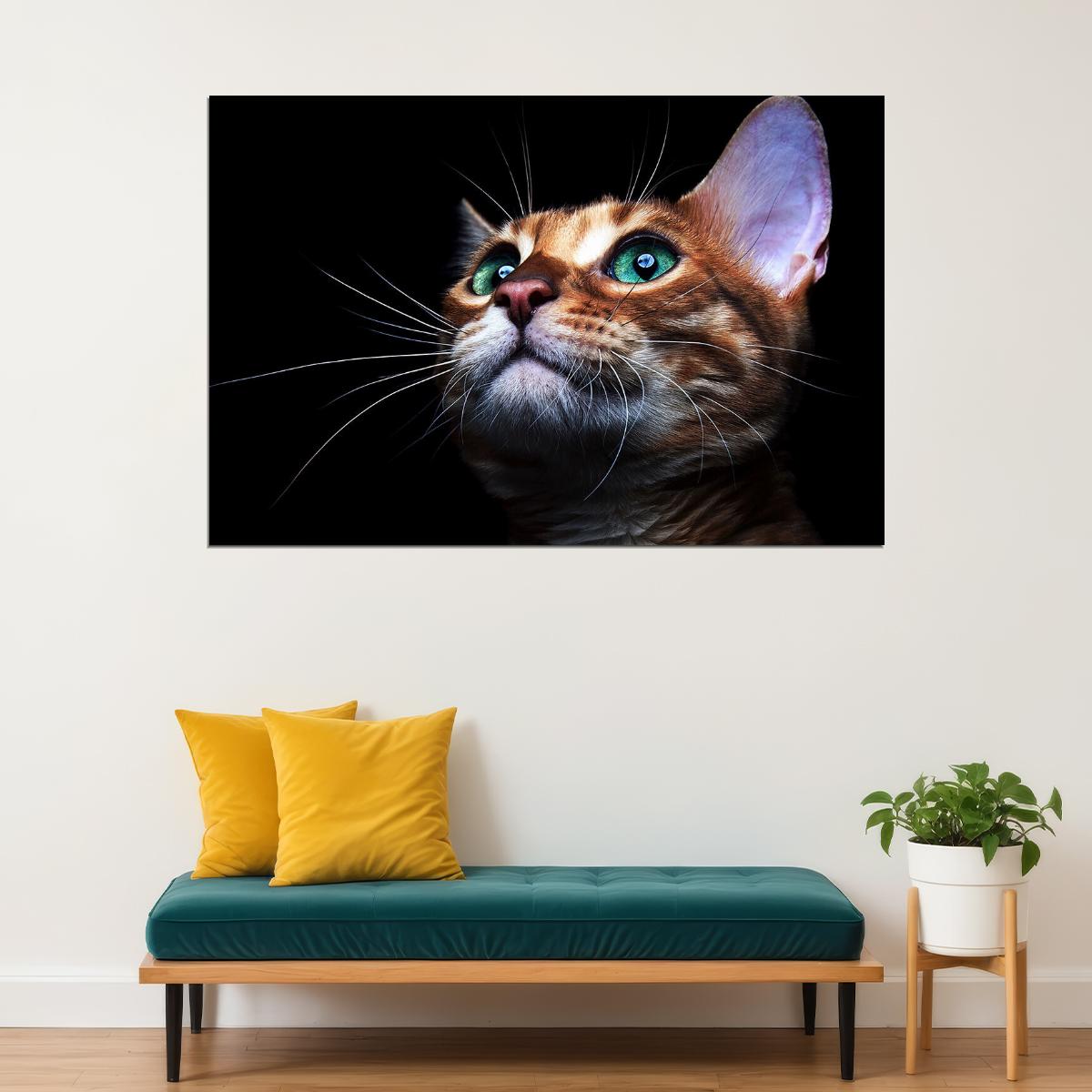 Cat Eyes Green-eyed Cat Looking Forward Animal Poster Wall Art Print Home Wall Decor - xonomax