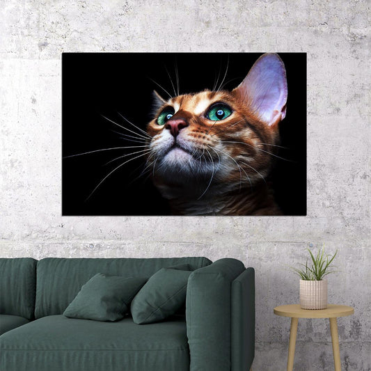 Cat Eyes Green-eyed Cat Looking Forward Animal Poster Wall Art Print Home Wall Decor - xonomax