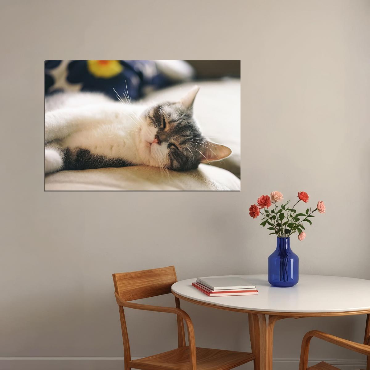 Cat Sleeping Cute Animals Nature Life Poster Wall Art Print Home Wall Decor - xonomax