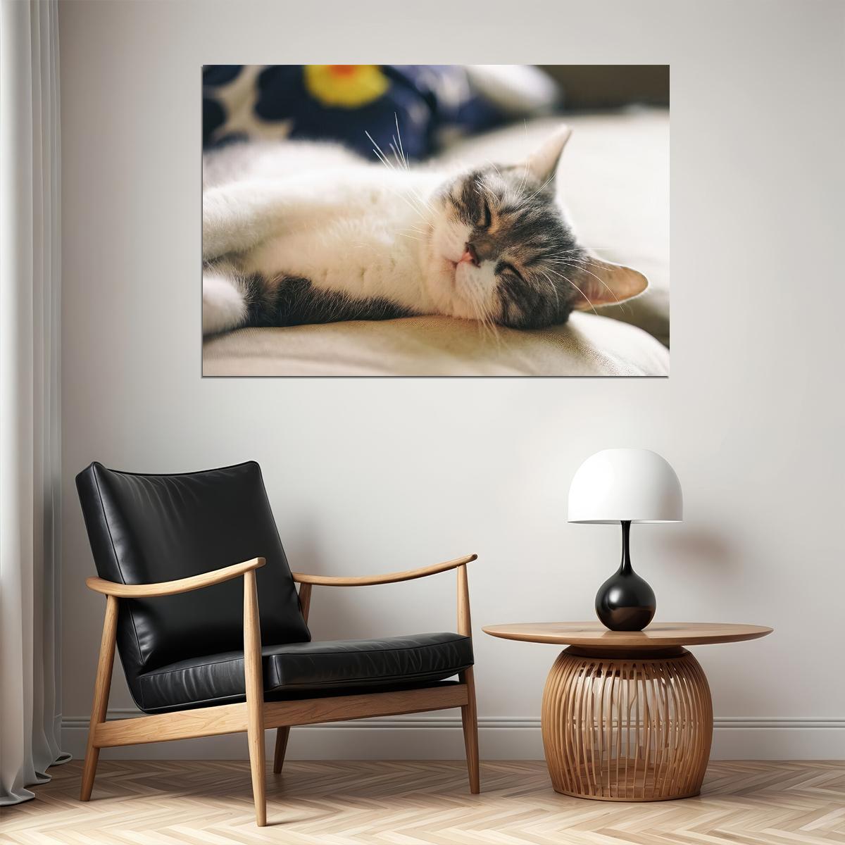 Cat Sleeping Cute Animals Nature Life Poster Wall Art Print Home Wall Decor - xonomax