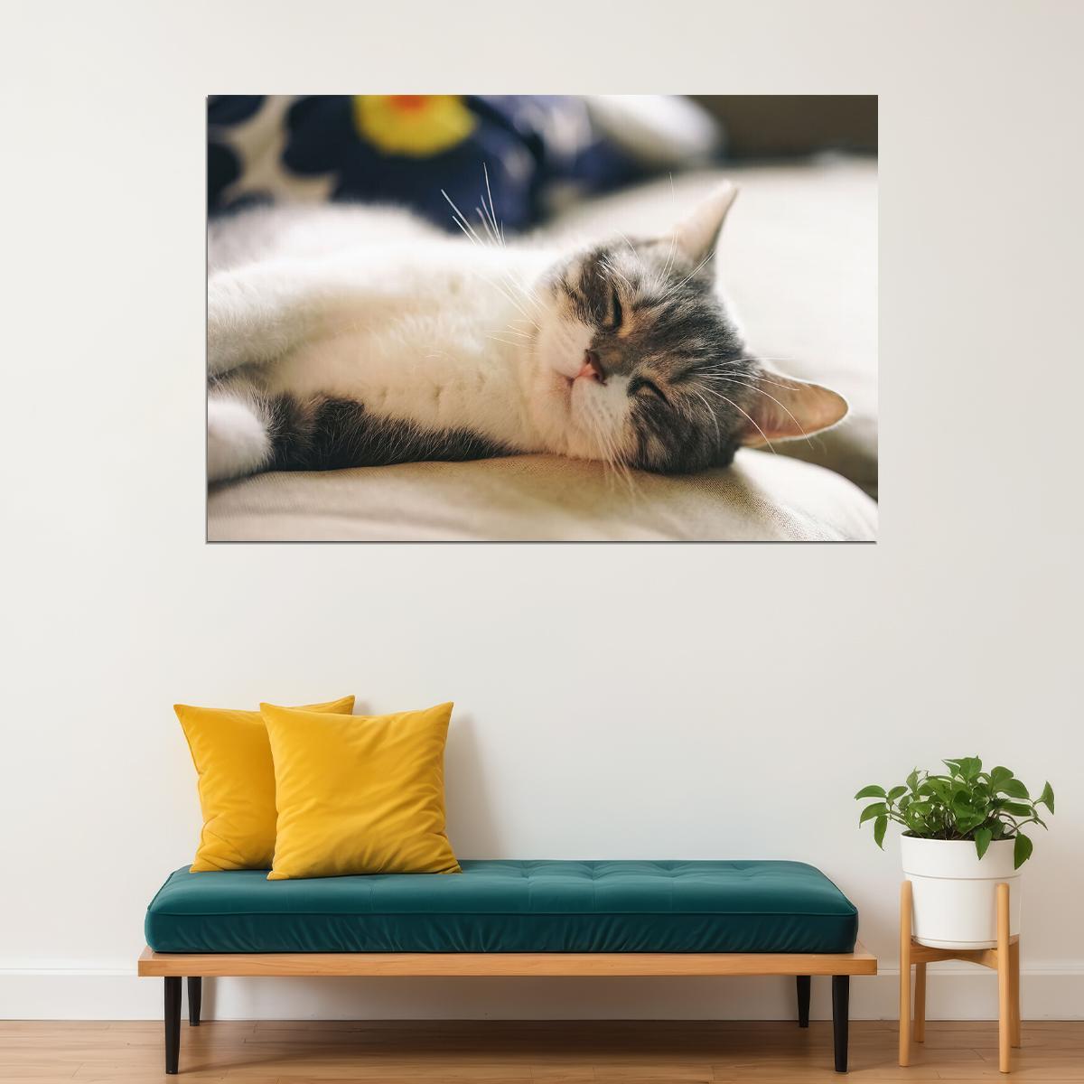 Cat Sleeping Cute Animals Nature Life Poster Wall Art Print Home Wall Decor - xonomax