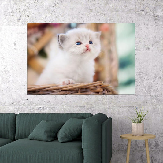 Cute White Cat In Basket Kitten Animals Poster Wall Art Print Home Wall Decor - xonomax