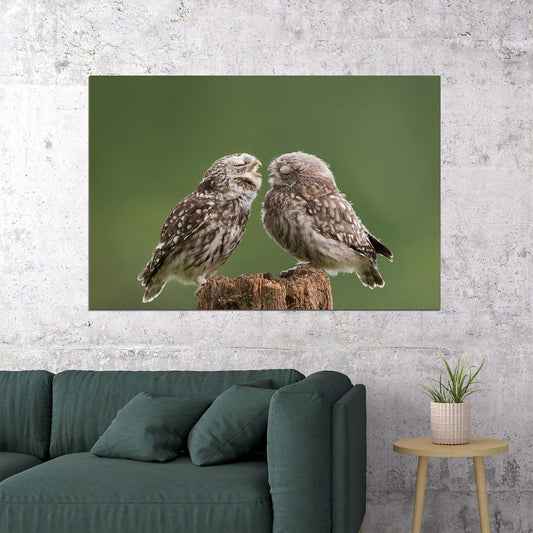 Two Cute Owls With Eyes Closed Animals Nature Life Poster Wall Art Print Home Wall Decor - xonomax