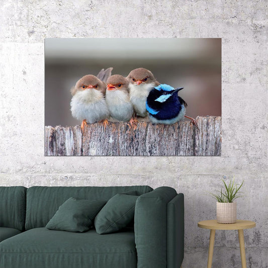 Cute Cuddling Birds Nature Life Poster Wall Art Print Home Wall Decor - xonomax