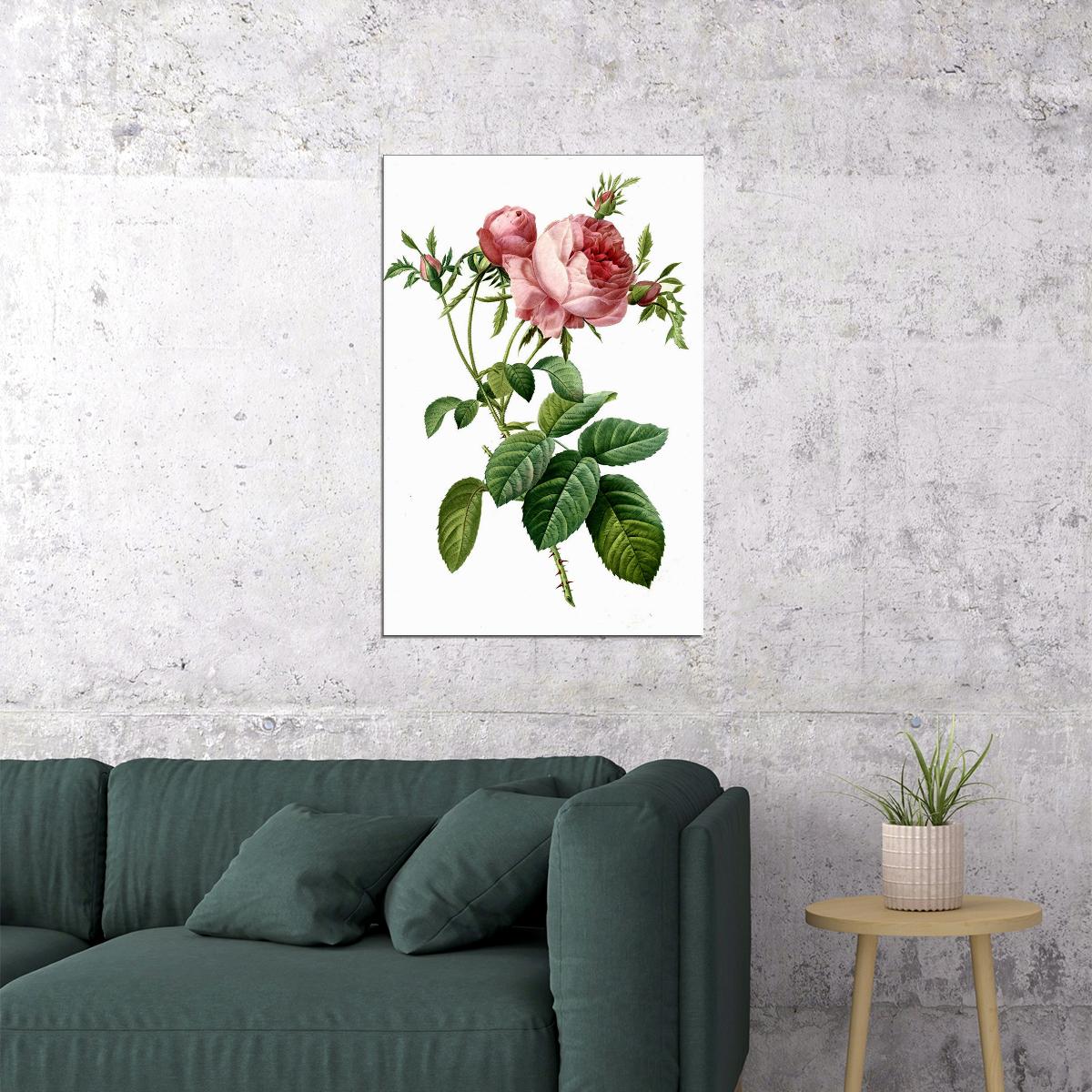 Rose Colorful Flowering Plant Drawing Picture Poster Wall Art Print Home Wall Decor