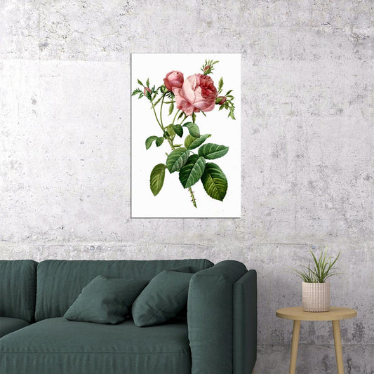 Rose Colorful Flowering Plant Drawing Picture Poster Wall Art Print Home Wall Decor - xonomax