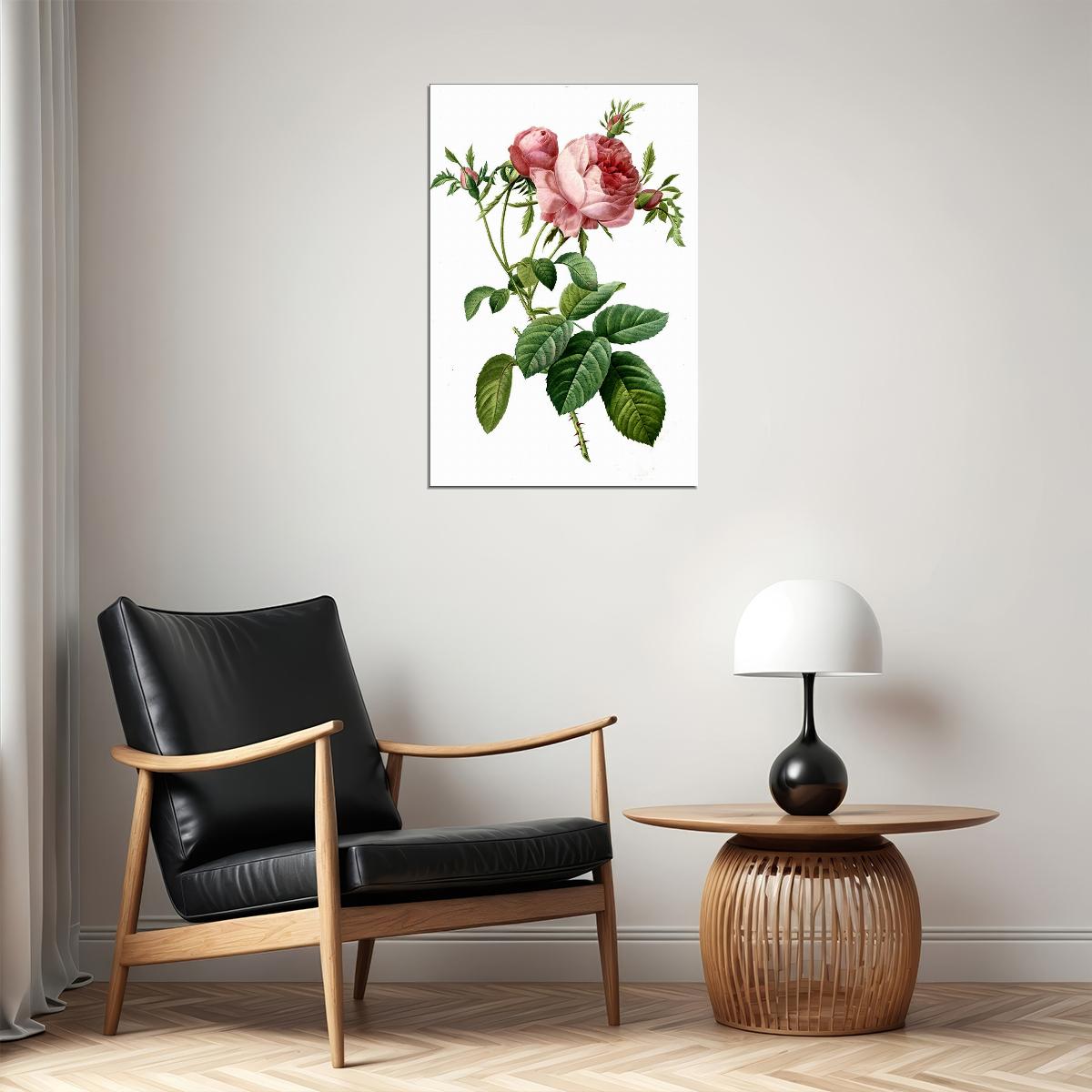 Rose Colorful Flowering Plant Drawing Picture Poster Wall Art Print Home Wall Decor