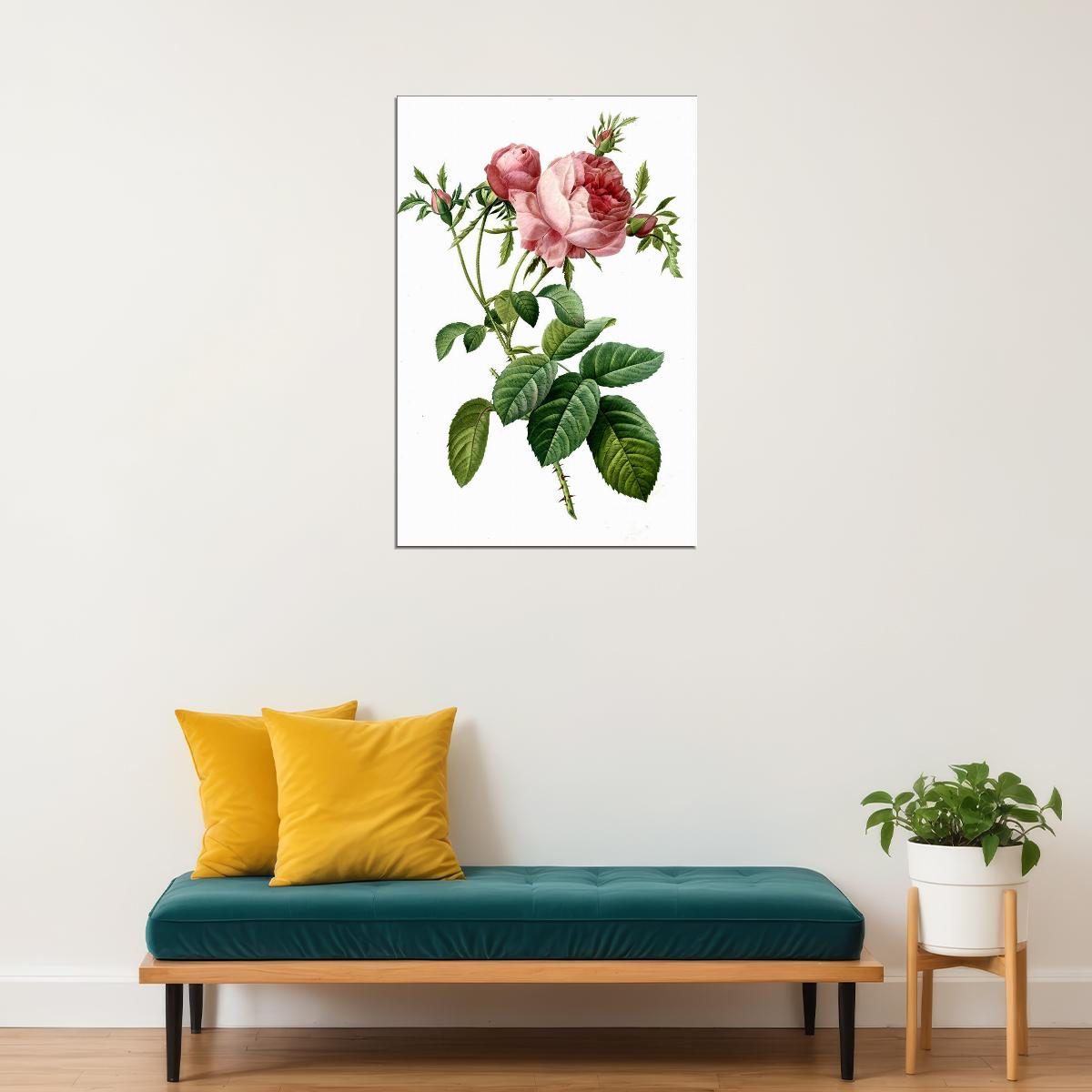 Rose Colorful Flowering Plant Drawing Picture Poster Wall Art Print Home Wall Decor