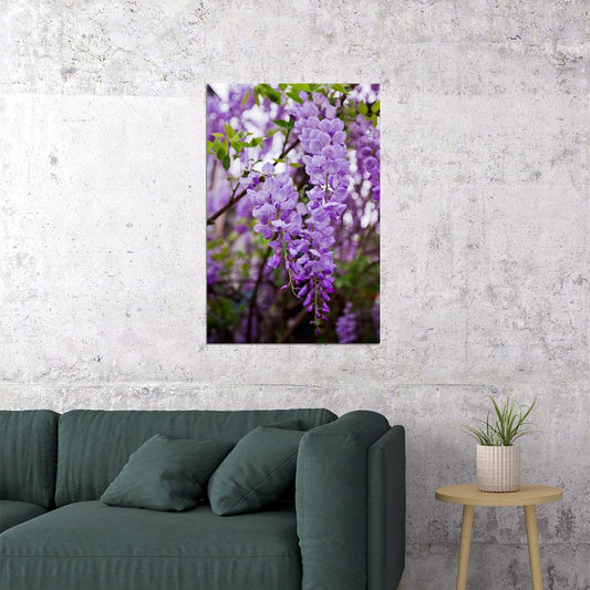 Flowers Wisteria Purple Plant Nature Vintage Poster Wall Art Print Home Wall Decor - xonomax