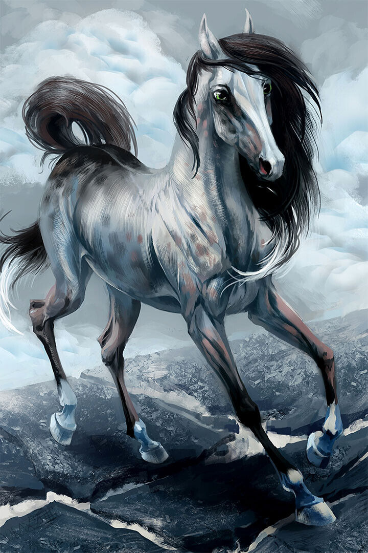 Riding Animal Horse Oil Painting Poster Wall Art Print Home Wall Decor