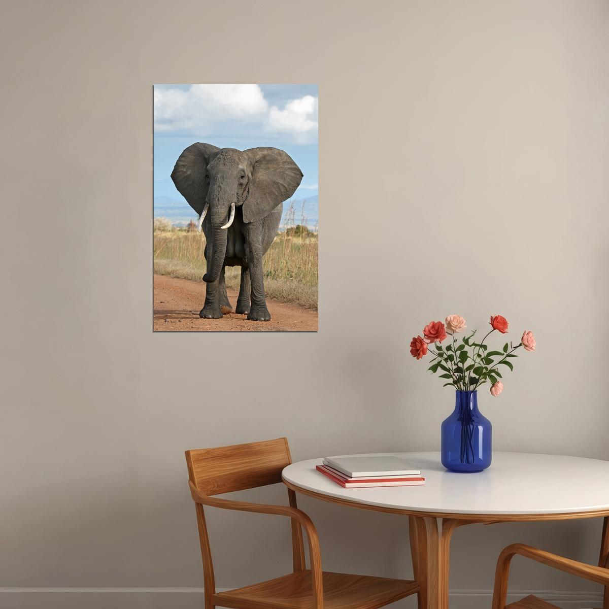Elephant Looking At Camera Picture Poster Wall Art Print Home Wall Decor - xonomax