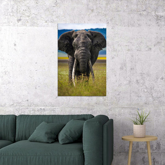 Elephant Approaching Animals Poster Wall Art Print Home Wall Decor - xonomax