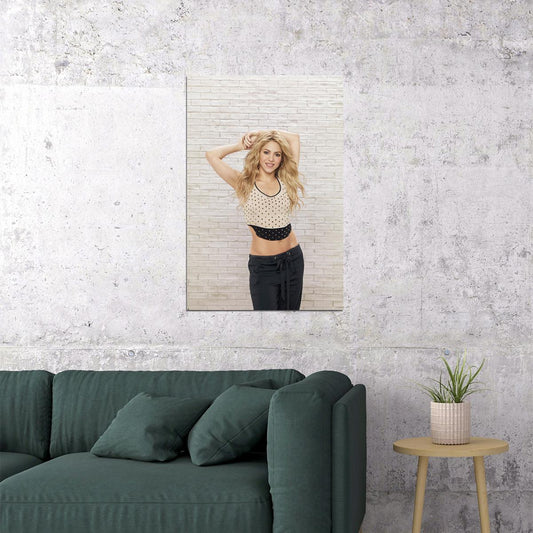 Shakira Celebrity Female Singer Record Producer Poster Wall Art Print Home Wall Decor - xonomax
