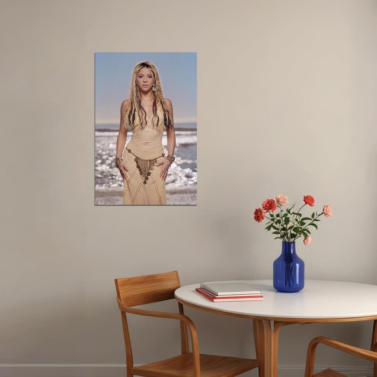 Shakira Celebrity Musician Record Producer Album Poster Wall Art Print Home Wall Decor - xonomax