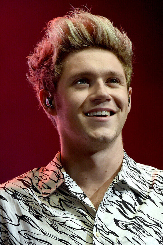 Niall Horan Celebrity Singer Pop Music Album Poster Wall Art Print Home Wall Decor - xonomax