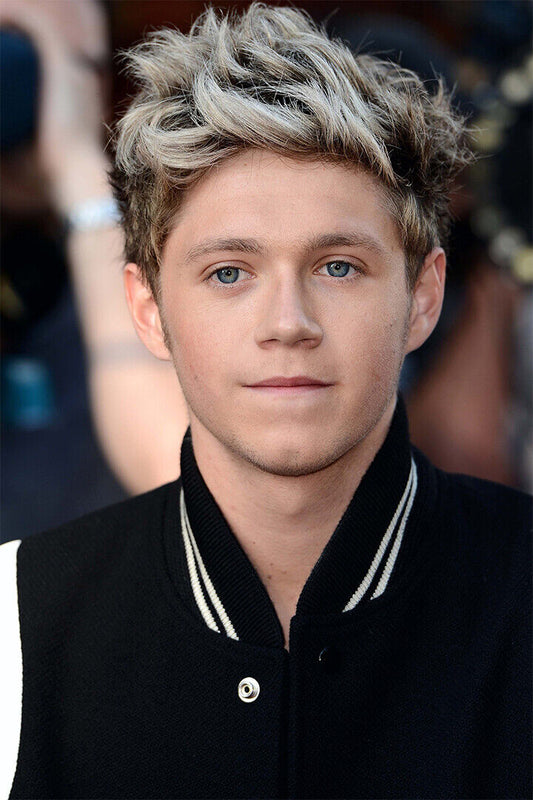 Niall Horan Celebrity Singer Music Album Poster Wall Art Print Home Wall Decor - xonomax