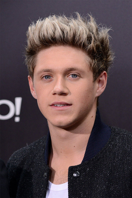 Niall Horan Celebrity Singer Song Album Poster Wall Art Print Home Wall Decor - xonomax