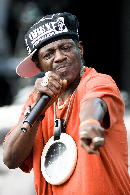 Flavor Flav Celebrity Rapper Music Singer Poster Wall Art Print Home Wall Decor - xonomax