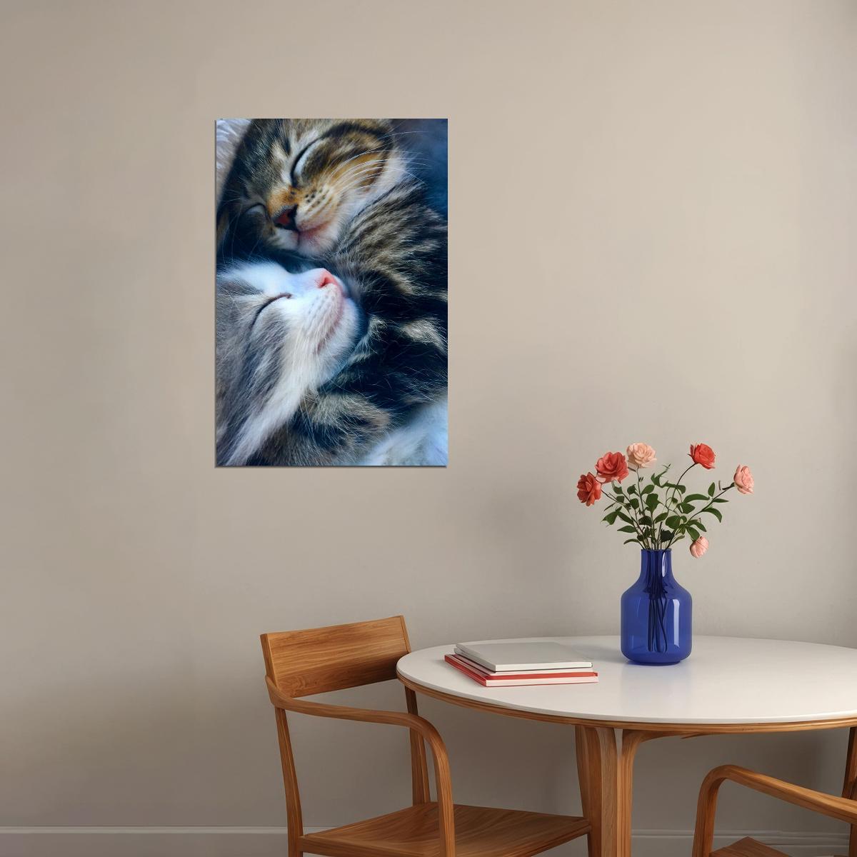 Cat Love All You Need Is Love And A Cat Baby Poster Wall Art Print Home Wall Decor - xonomax