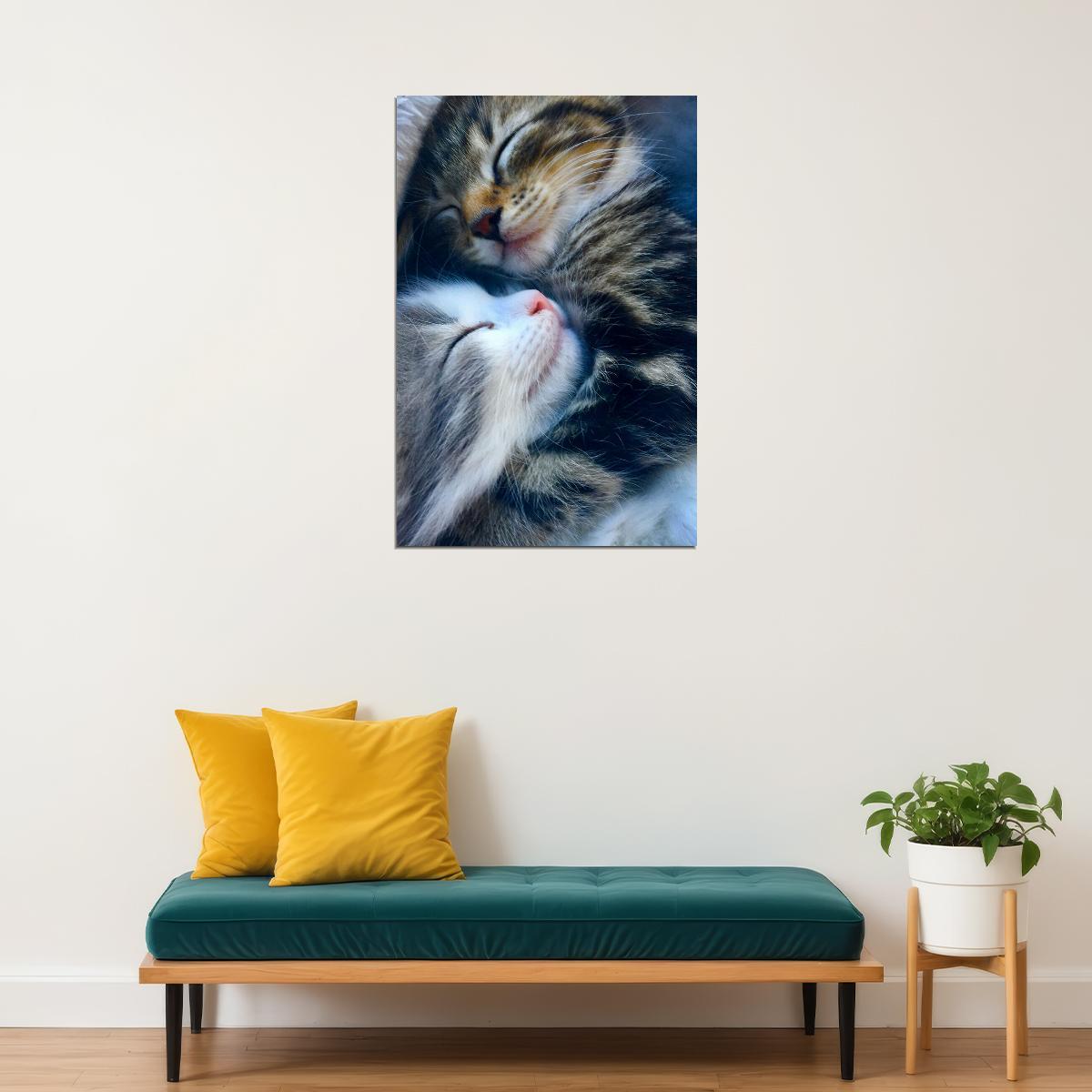 Cat Love All You Need Is Love And A Cat Baby Poster Wall Art Print Home Wall Decor - xonomax