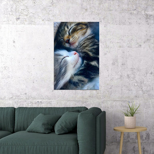 Cat Love All You Need Is Love And A Cat Baby Poster Wall Art Print Home Wall Decor - xonomax