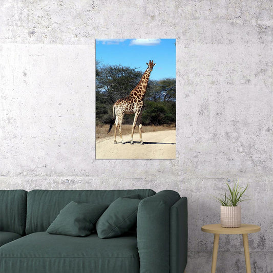 African Giraffes Lover Animals Landscape Poster Wall Art Print Home Wall Decor - xonomax