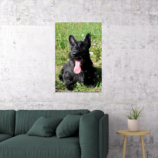 Scottish Terrier Sunflower Animal Poster Wall Art Print Home Wall Decor - xonomax
