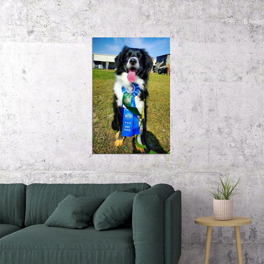 Rescue A Aussie's Future Dog Breed Animal Poster Wall Art Print Home Wall Decor - xonomax
