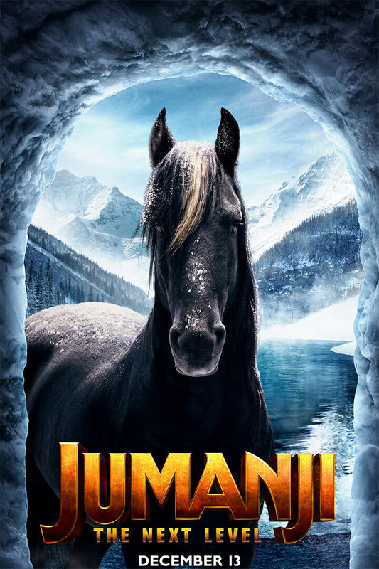 Jumanji 2020 Movie The Next Level Comedy Poster Wall Art Print Home Wall Decor - xonomax
