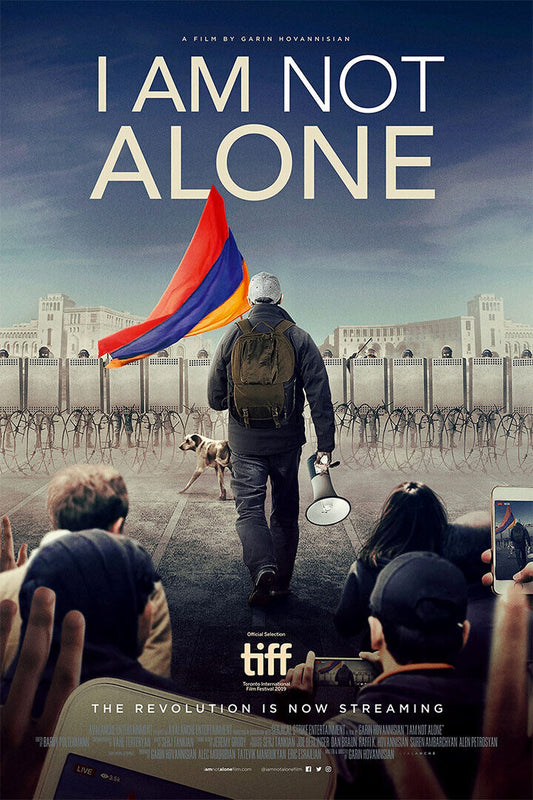 I Am Not Alone Movie Documentary 2020 Poster Wall Art Print Home Wall Decor - xonomax
