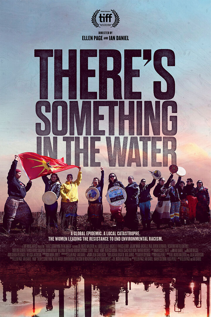 There's Something In The Water Movie Documentary Poster Wall Art Print Home Wall Decor - xonomax